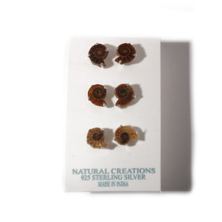 Ammonite Sterling Silver Stud - 3 pack    from Stonebridge Imports