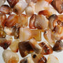Carnelian E Tumbled Stones - Brazil from Stonebridge Imports