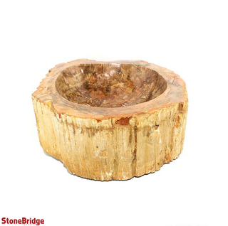Petrified Wood Fossil - Sink Bowl    from Stonebridge Imports
