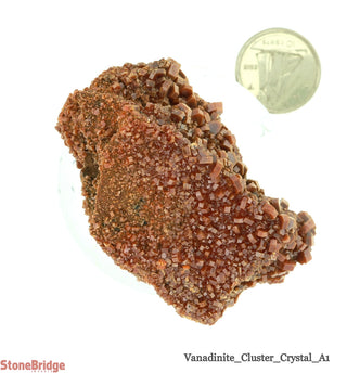 Vanadinite A Cluster #1    from Stonebridge Imports