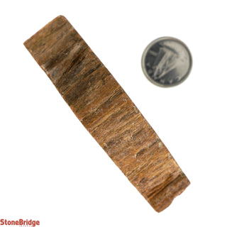Petrified Wood Slices #4 - 200g to 300g    from Stonebridge Imports