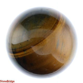 Tiger Eye Sphere - Extra Small #1 - 1 1/2"    from Stonebridge Imports
