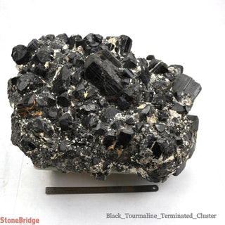 Black Tourmaline Cluster U#1    from Stonebridge Imports
