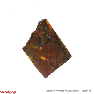 Ammolite Freeform Canadian Fossil U#6    from Stonebridge Imports