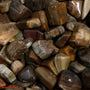 Petrified Wood Tumbled Stones - Madagascar from Stonebridge Imports