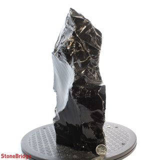Obsidian Black Boulder Cut-Base U#29 - 14"    from Stonebridge Imports
