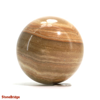 Calcite Golden Sphere - Medium #1 - 2 3/4"    from Stonebridge Imports