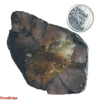Chiastolite Rough Crystal #3 - 65G to 100g    from Stonebridge Imports