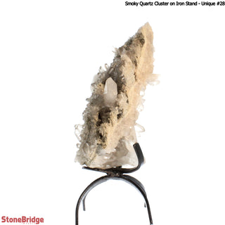 Smoky Quartz Cluster on Iron Stand U#28    from Stonebridge Imports