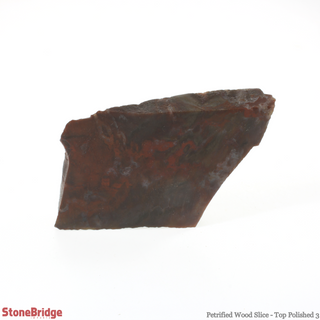 Petrified Wood Slice - Top Polished #3 - 60g to 120g    from Stonebridge Imports