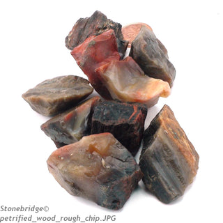 Petrified Wood Chips - Medium    from Stonebridge Imports