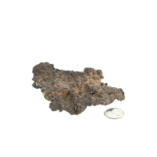 Fulgurite Petrified Lightning & Hole #6 - 3" to 5"    from Stonebridge Imports