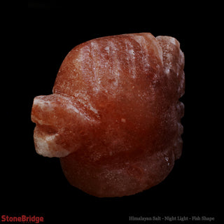 Himalayan Salt Night Light - Fish    from Stonebridge Imports