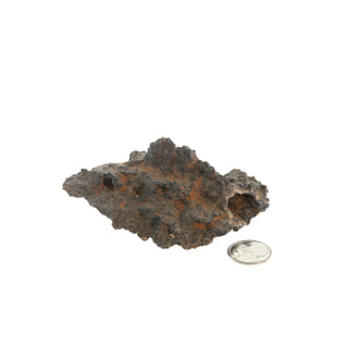 Fulgurite Petrified Lightning & Hole #6 - 3" to 5"    from Stonebridge Imports