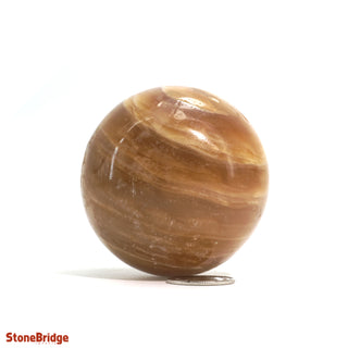 Calcite Golden Sphere - Small #1 - 2 1/4"    from Stonebridge Imports