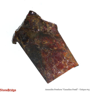 Ammolite Freeform Canadian Fossil U#15    from Stonebridge Imports