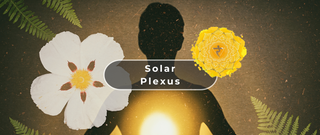 Solar Plexus Chakra Healing for Increased Personal Power and Self-Acceptance