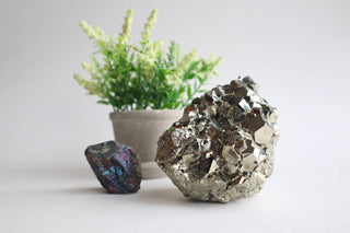 How do crystals form - pyrite on plants