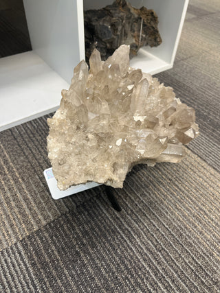 Smoky Quartz Cluster on Iron Stand U#2 - 10" from Stonebridge Imports