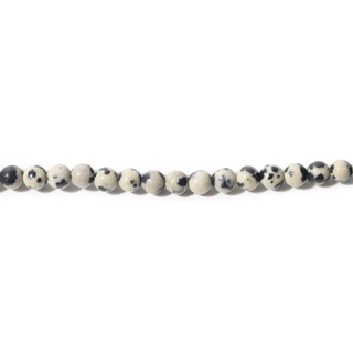 Dalmatian Jasper Bead Strand from Stonebridge Imports