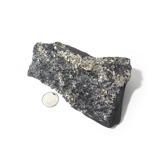 Pyrite on Basalt Crystal Specimen #2 - Up to 2 1/2" from Stonebridge Imports