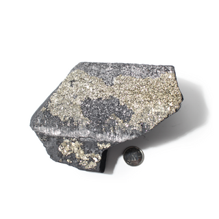 Pyrite on Basalt Crystal Specimen #5 - Up to 5" from Stonebridge Imports