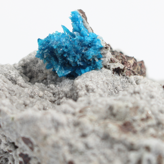 Cavansite Cluster on Matrix from India - Unique #1 - 2 7/8" from Stonebridge Imports