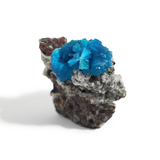Cavansite Cluster on Matrix from India - Unique #4 - 1 3/4"