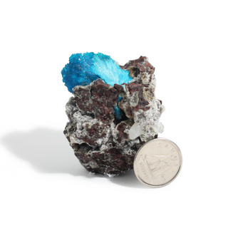 Cavansite Cluster on Matrix from India - Unique #4 - 1 3/4"