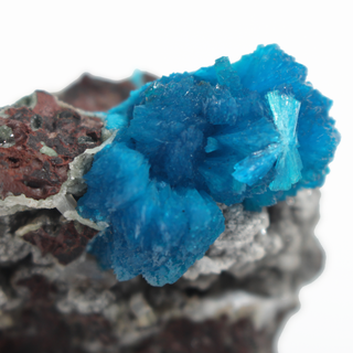 Cavansite Cluster on Matrix from India - Unique #4 - 1 3/4"