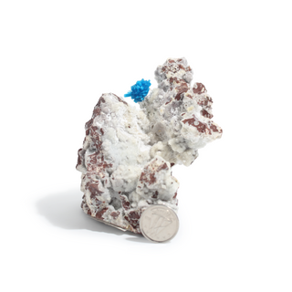 Cavansite Cluster on Matrix from India - Unique #5 - 3 3/4" from Stonebridge Imports