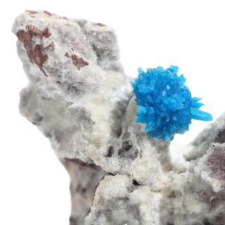 Cavansite Cluster on Matrix from India - Unique #5 - 3 3/4" from Stonebridge Imports