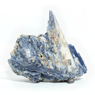 Blue Kyanite Cluster U#116 - 10" from Stonebridge Imports