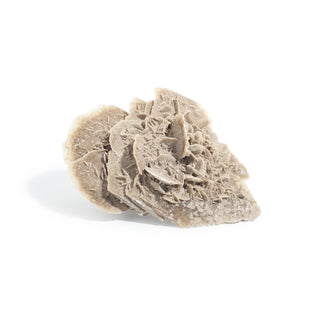 Elephant Ear Selenite Cluster