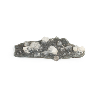 Apophyllite on Basalt Cluster Unique #34 from Stonebridge Imports