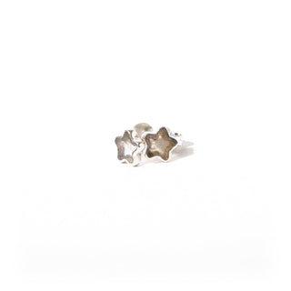 Labradorite Earring - Small Star    from Stonebridge Imports