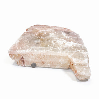Selenite Window Slab Unique #22 - 30", second view of a thick broad slab with salmon and rust crust along the top edge and white fibrous banding, photographed on a clean white background. Stonebridge Imports.