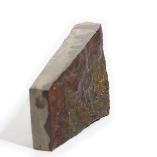 Ammolite Fossil Specimen #2 from Stonebridge Imports