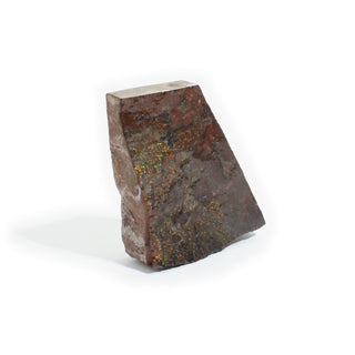 Ammolite Fossil Specimen #2 from Stonebridge Imports