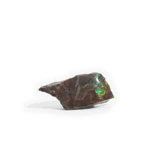 Ammolite Fossil Specimen #14 from Stonebridge Imports