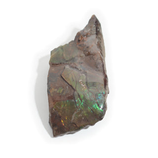 Ammolite Fossil Specimen #14 from Stonebridge Imports