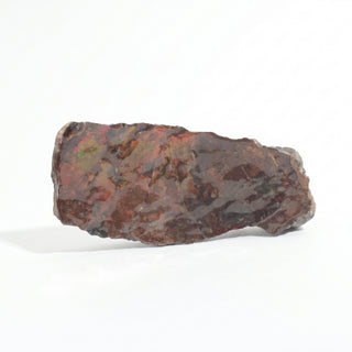 Ammolite Fossil Specimen #17 from Stonebridge Imports