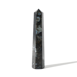 Larvikite Generator #3 - 60g to 89.9g from Stonebridge Imports