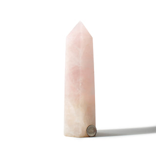 Rose Quartz Generator U#5 - 8" from Stonebridge Imports