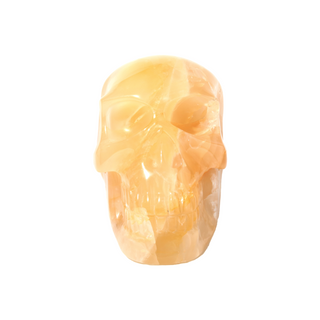 Golden Healer Skull U#1    from Stonebridge Imports