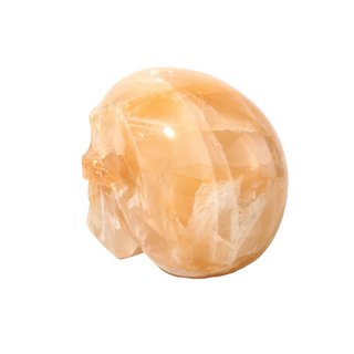 Golden Healer Skull U#1    from Stonebridge Imports