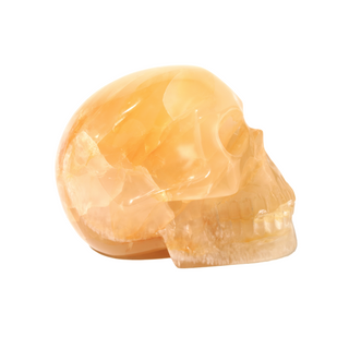 Golden Healer Skull U#1    from Stonebridge Imports