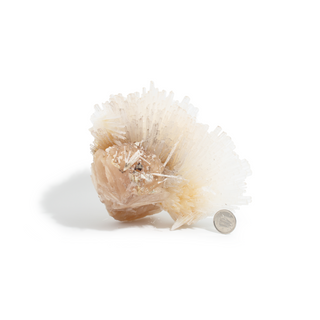 Scolecite from India - Unique #1 - 5 1/2" from Stonebridge Imports