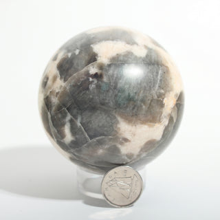 Small #2 — Chocolate Labradorite Sphere, cream stone with smoky brown-grey labradorite patches beside a Canadian dime for scale, photographed on a clean white background. Stonebridge Imports.