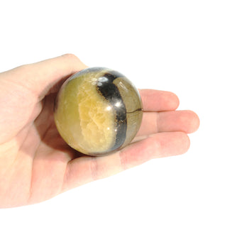 Septarian Sphere - Small #2 - 2 1/4"    from Stonebridge Imports